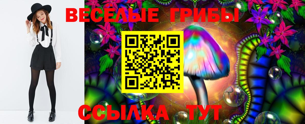 Реж  Галлюциногенные грибы мухоморы  наркошоп  Вход с VPN  Галлюциногенные грибы мухоморы 